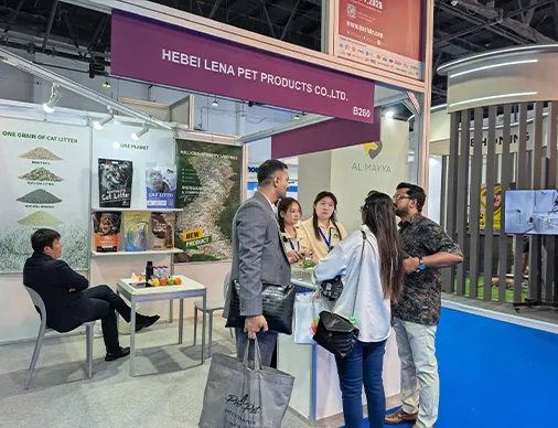 Во время выставки