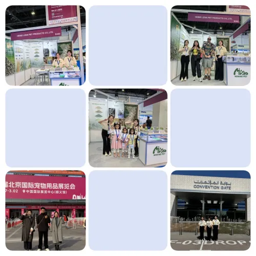 Мы участвуем в выставках в разных регионах