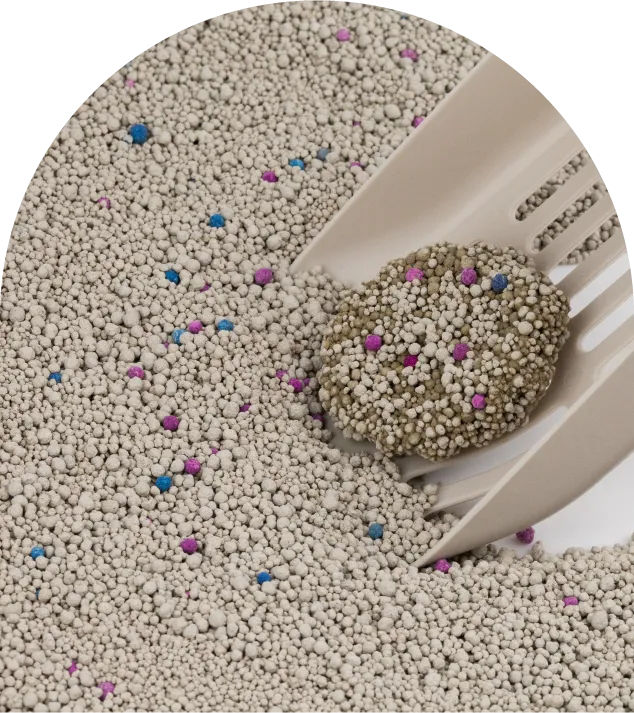 Слипшийся бентонитовый наполнитель для кошачьего туалета