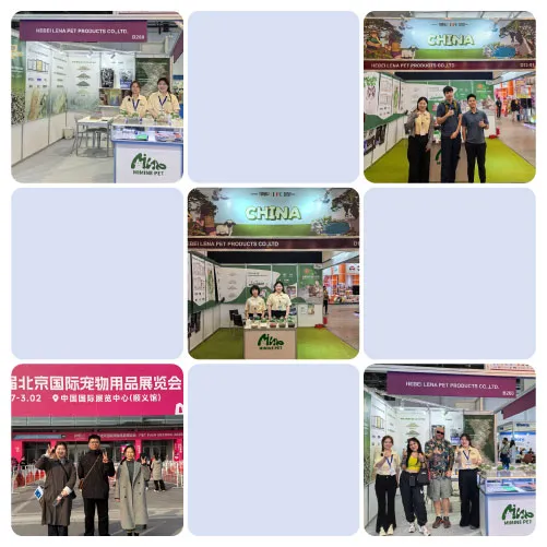 Мы участвуем в выставках по всей стране