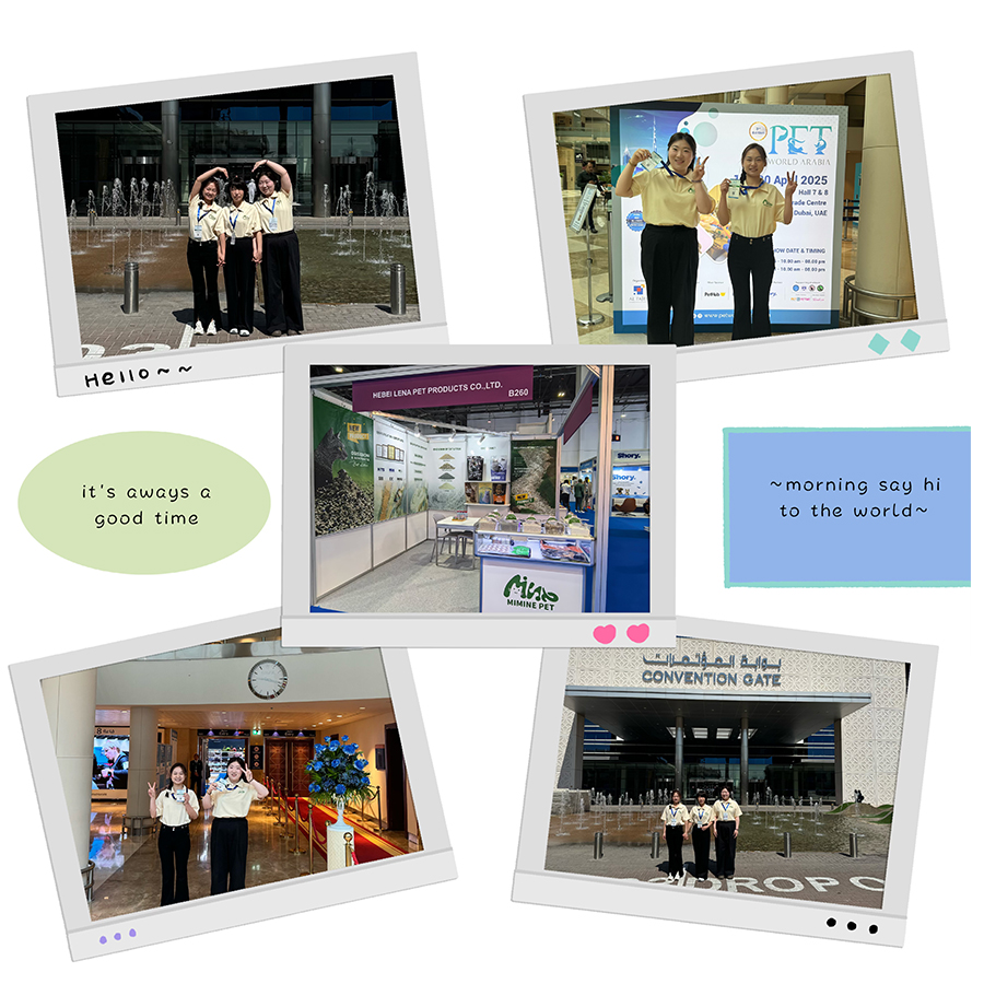 В прямом эфире из Pet World Arabia 2025 — Наполнитель для кошек Mimine, изготовленный на заказ, вызвал ажиотаж на рынке