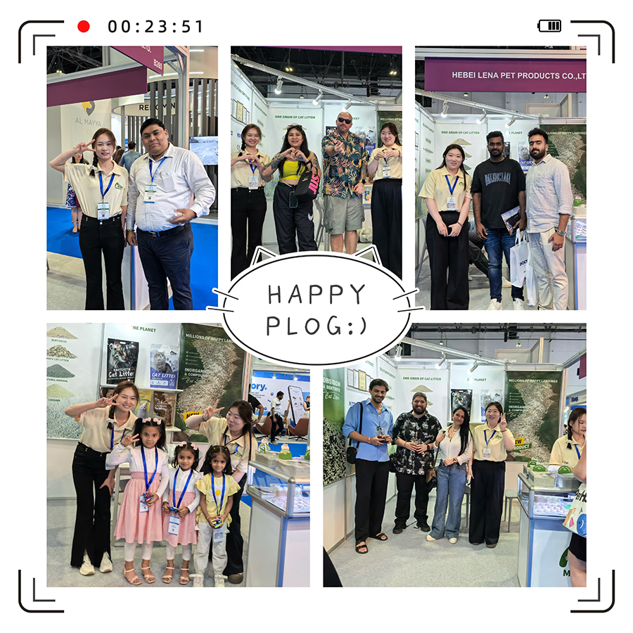 В прямом эфире из Pet World Arabia 2025 — Наполнитель для кошек Mimine, изготовленный на заказ, вызвал ажиотаж на рынке